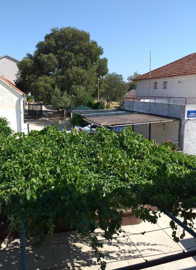 Apartments Jelicic 比奥格勒·纳·莫鲁 外观 照片