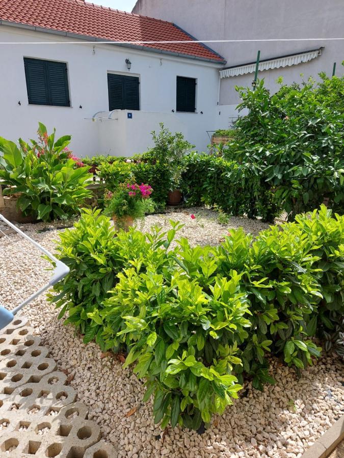 Apartments Jelicic 比奥格勒·纳·莫鲁 外观 照片